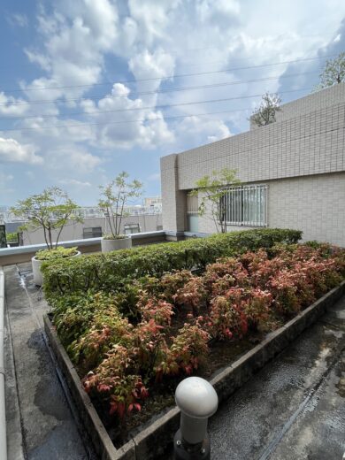 テスト賃貸マンション トゥレーヌ北花田