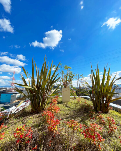 テスト賃貸マンション フレームウッド